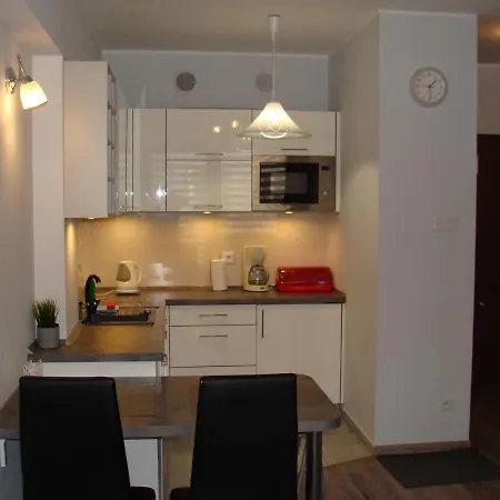 Apartament Wiki Centrum - Zdroj - *